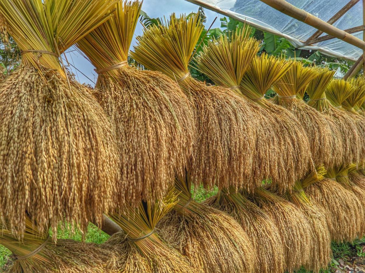 Farmstay Manangel Sindanglaka Zewnętrze zdjęcie